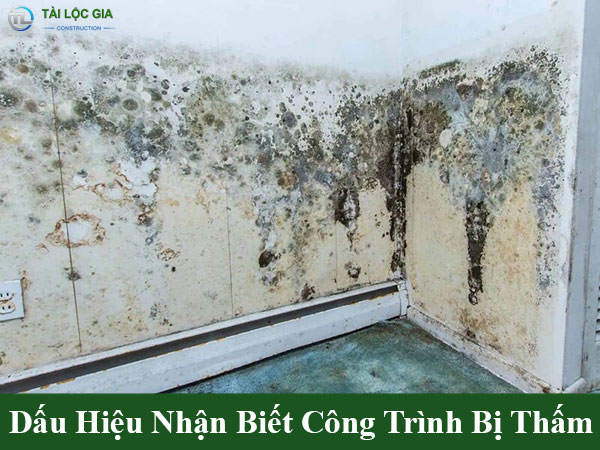 Dấu hiệu nhận biết công trình bị thấm