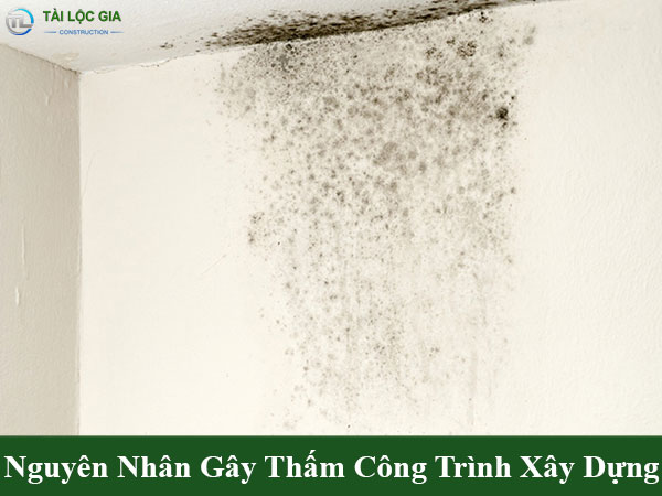 Nguyên nhân gây thấm công trình xây dựng