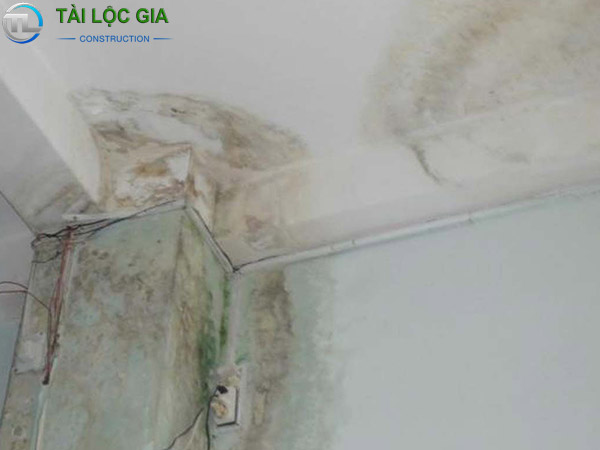 Tác hại do sự cố thấm sân thượng gây ra