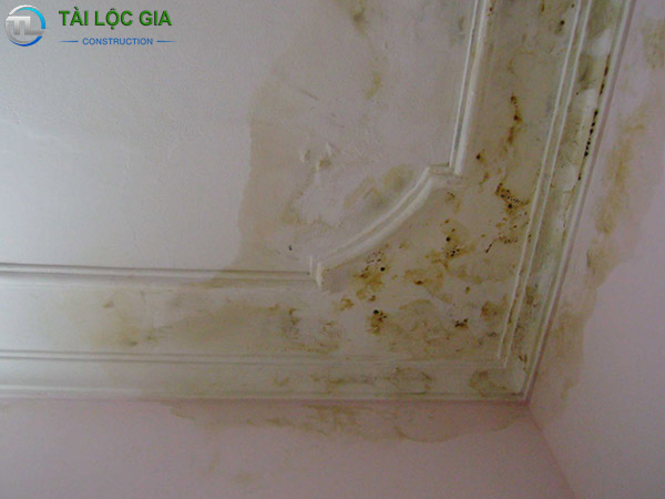 Tác hại do thấm dột trần nhà gây ra