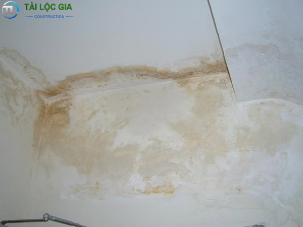 Tình trạng cho thấy tường nhà bị thấm