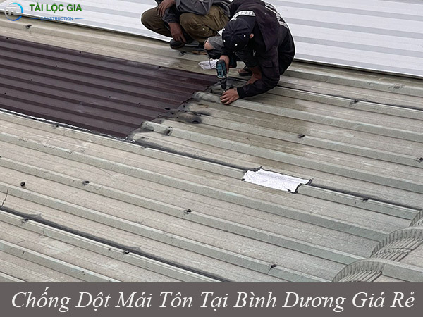 Đơn vị cung cấp dịch vụ chống dột mái tôn tại bình dương