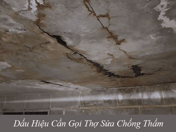 Dấu hiệu cần gọi thợ sửa chống thấm