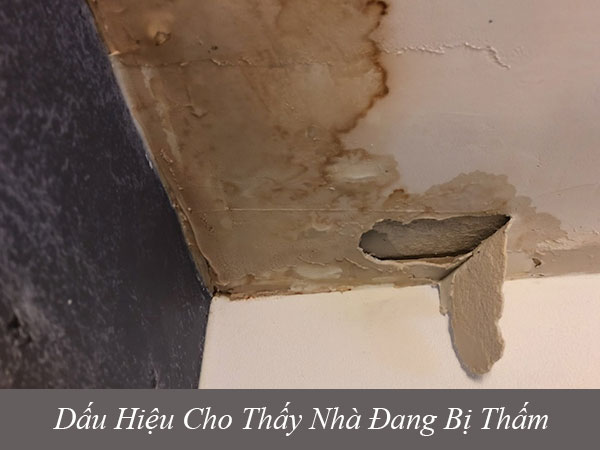 Dấu hiệu cho thấy nhà đang bị thấm