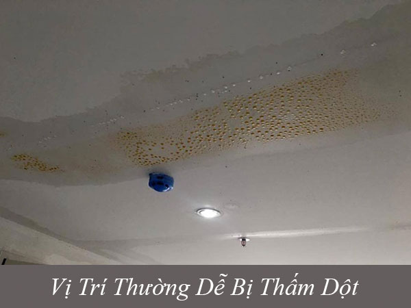 Các vị trí thường dễ bị thấm dột