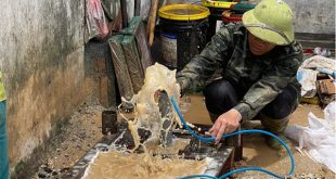 Có thợ sửa chữa giếng khoan tại quận 6 tay nghề cao