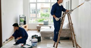 Các dịch vụ sơn nhà tại quận gò vấp của chúng tôi